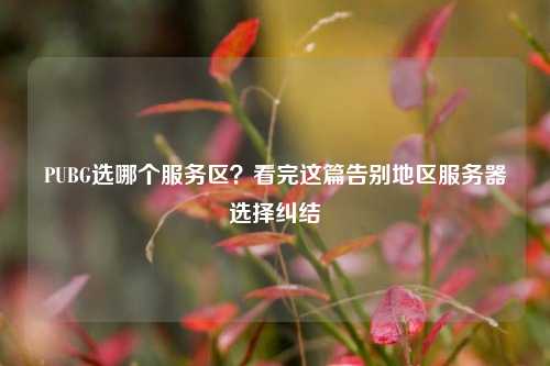 PUBG选哪个服务区?看完这篇告别地区服务器选择纠结