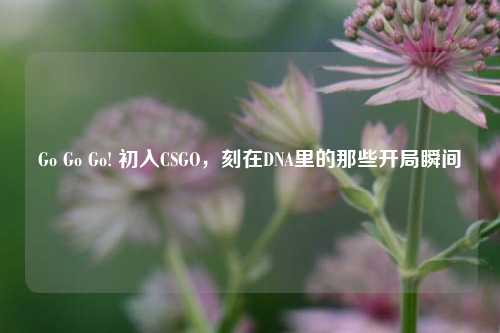 Go Go Go! 初入CSGO，刻在DNA里的那些开局瞬间