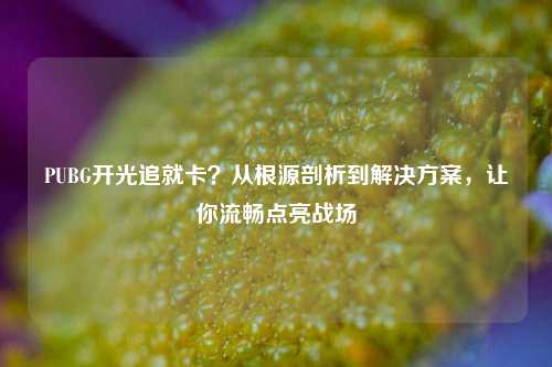 PUBG开光追就卡？从根源剖析到解决方案，让你流畅点亮战场