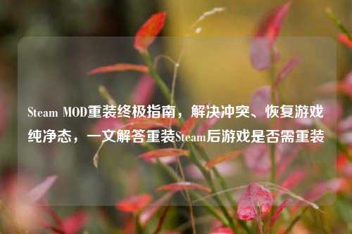 Steam MOD重装终极指南，解决冲突、恢复游戏纯净态，一文解答重装Steam后游戏是否需重装