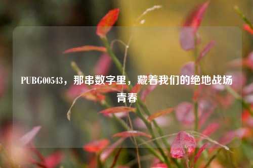 PUBG00543，那串数字里，藏着我们的绝地战场青春
