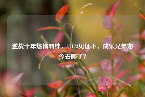 逆战十年燃情羁绊，17173见证下，成乐兄弟如今去哪了？