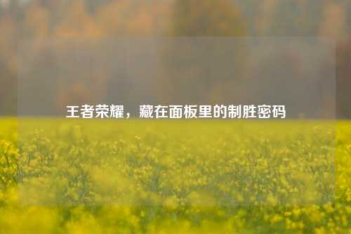 王者荣耀，藏在面板里的制胜密码