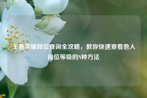 王者荣耀段位查询全攻略，教你快速查看他人段位等级的N种方法
