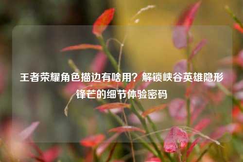 王者荣耀角色描边有啥用？解锁峡谷英雄隐形锋芒的细节体验密码
