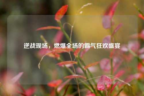 逆战现场，燃爆全场的霸气狂欢盛宴