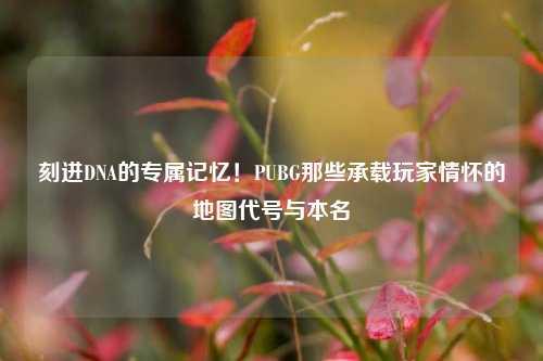刻进DNA的专属记忆!PUBG那些承载玩家情怀的地图代号与本名