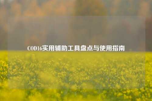 COD16实用辅助工具盘点与使用指南