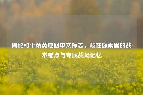 揭秘和平精英地图中文标志，藏在像素里的战术锚点与专属战场记忆