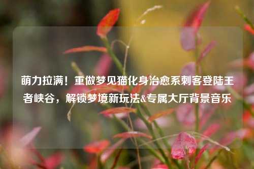 萌力拉满!重做梦见猫化身治愈系刺客登陆王者峡谷,解锁梦境新玩法&专属大厅背景音乐