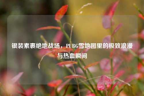 银装素裹绝地战场，PUBG雪地图里的极致浪漫与热血瞬间