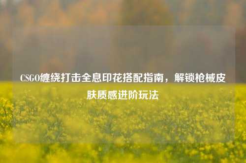 CSGO缠绕打击全息印花搭配指南，解锁枪械皮肤质感进阶玩法