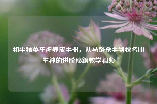 和平精英车神养成手册，从马路杀手到秋名山车神的进阶秘籍教学视频