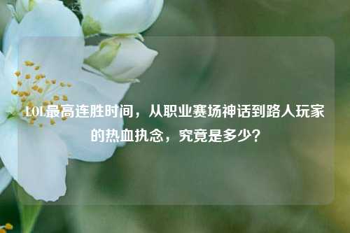 LOL最高连胜时间，从职业赛场神话到路人玩家的热血执念，究竟是多少？