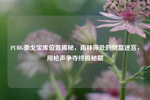 PUBG泰戈宝库位置揭秘，雨林深处的财富迷宫，用枪声争夺终极秘藏