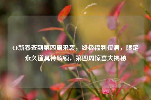 CF新春签到第四周来袭，终极福利拉满，限定永久道具待解锁，第四周惊喜大揭秘