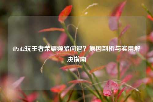 iPad2玩王者荣耀频繁闪退？原因剖析与实用解决指南