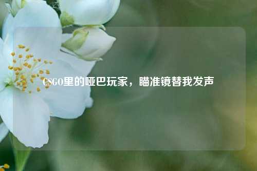 CSGO里的哑巴玩家,瞄准镜替我发声