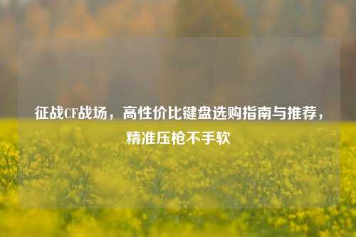 征战CF战场,高性价比键盘选购指南与推荐,精准压枪不手软