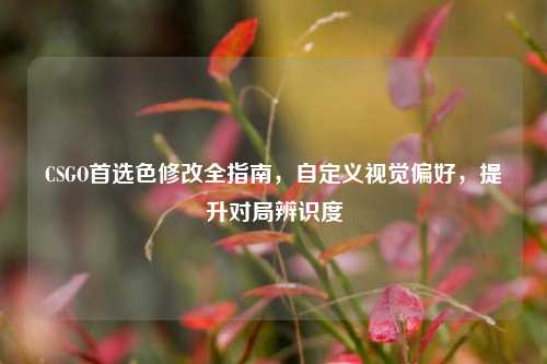CSGO首选色修改全指南，自定义视觉偏好，提升对局辨识度