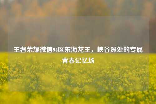 王者荣耀微信94区东海龙王，峡谷深处的专属青春记忆场