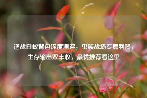 逆战白蚁背包深度测评，虫族战场专属利器，生存输出双丰收，最优推荐看这里
