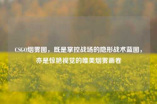 CSGO烟雾图，既是掌控战场的隐形战术蓝图，亦是惊艳视觉的唯美烟雾画卷