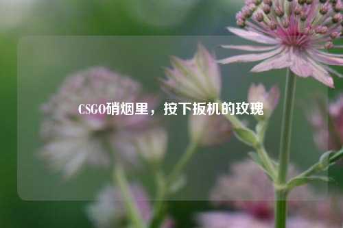 CSGO硝烟里,按下扳机的玫瑰