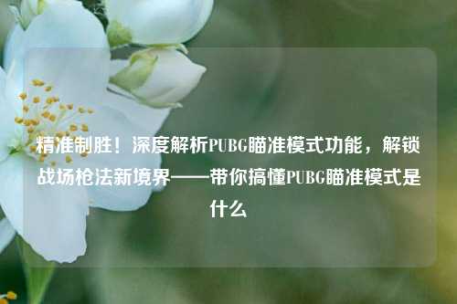 精准制胜！深度解析PUBG瞄准模式功能，解锁战场枪法新境界——带你搞懂PUBG瞄准模式是什么