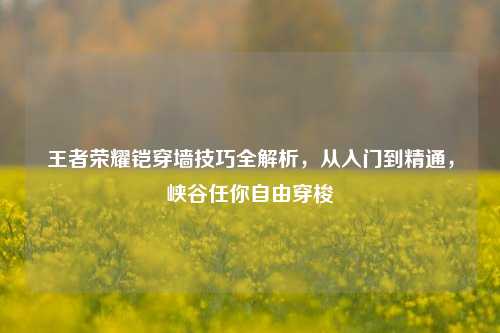 王者荣耀铠穿墙技巧全解析,从入门到精通,峡谷任你自由穿梭