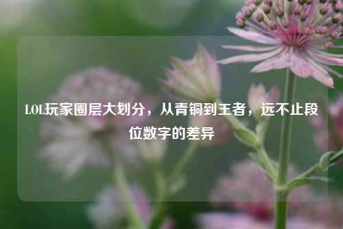 LOL玩家圈层大划分,从青铜到王者,远不止段位数字的差异