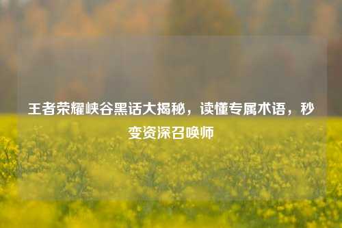 王者荣耀峡谷黑话大揭秘，读懂专属术语，秒变资深召唤师