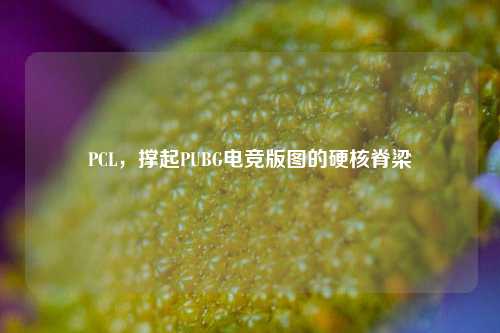 PCL,撑起PUBG电竞版图的硬核脊梁