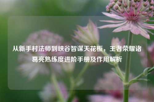 从新手村法师到峡谷智谋天花板，王者荣耀诸葛亮熟练度进阶手册及作用解析