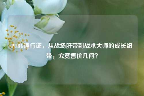 PUBG通行证,从战场肝帝到战术大师的成长纽带,究竟售价几何?