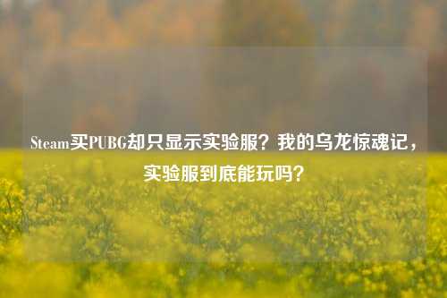 Steam买PUBG却只显示实验服？我的乌龙惊魂记，实验服到底能玩吗？
