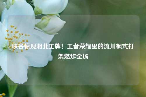 峡谷惊现湘北王牌！王者荣耀里的流川枫式打架燃炸全场