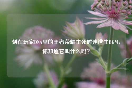 刻在玩家DNA里的王者荣耀生死时速逃生BGM，你知道它叫什么吗？