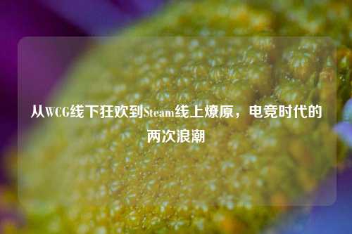 从WCG线下狂欢到Steam线上燎原，电竞时代的两次浪潮