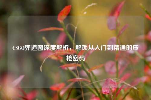 CSGO弹道图深度解析，解锁从入门到精通的压枪密码