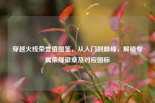 穿越火线荣誉值图鉴，从入门到巅峰，解锁专属荣耀徽章及对应图标