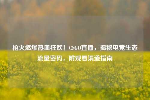 枪火燃爆热血狂欢！CSGO直播，揭秘电竞生态流量密码，附观看渠道指南
