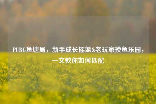 PUBG鱼塘局，新手成长摇篮&老玩家摸鱼乐园，一文教你如何匹配