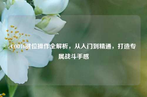 COD16键位操作全解析，从入门到精通，打造专属战斗手感