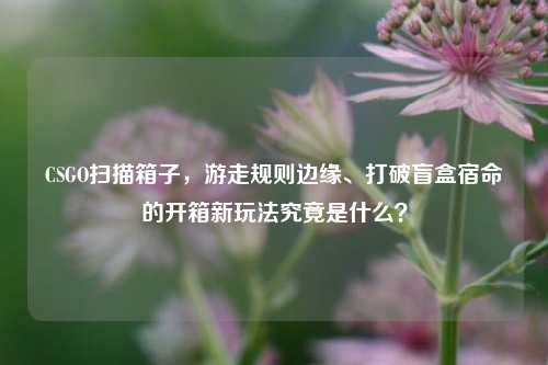 CSGO扫描箱子，游走规则边缘、打破盲盒宿命的开箱新玩法究竟是什么？