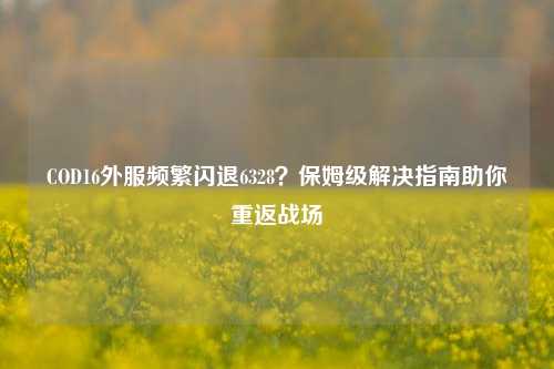 COD16外服频繁闪退6328?保姆级解决指南助你重返战场