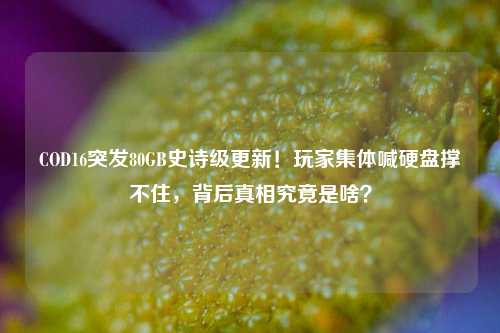 COD16突发80GB史诗级更新！玩家集体喊硬盘撑不住，背后真相究竟是啥？