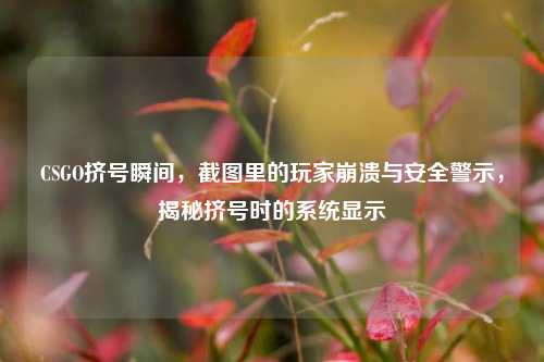 CSGO挤号瞬间，截图里的玩家崩溃与安全警示，揭秘挤号时的系统显示