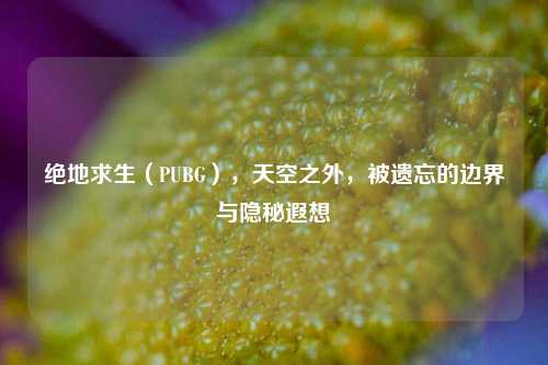 绝地求生(PUBG),天空之外,被遗忘的边界与隐秘遐想