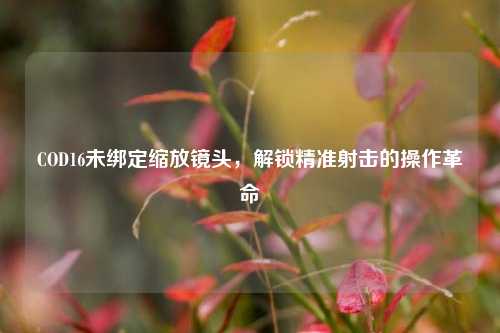COD16未绑定缩放镜头,解锁精准射击的操作革命